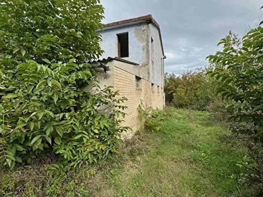 Immagine 4 di Rustico / casale in vendita  a Ripatransone