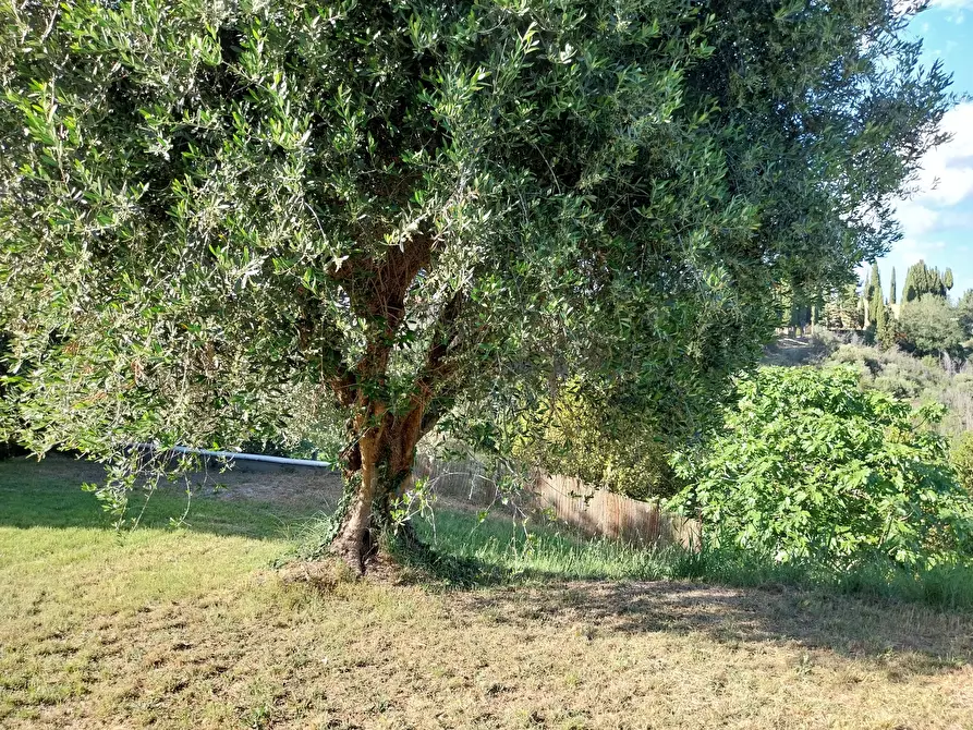 Immagine 24 di Casa indipendente in vendita  a Castorano