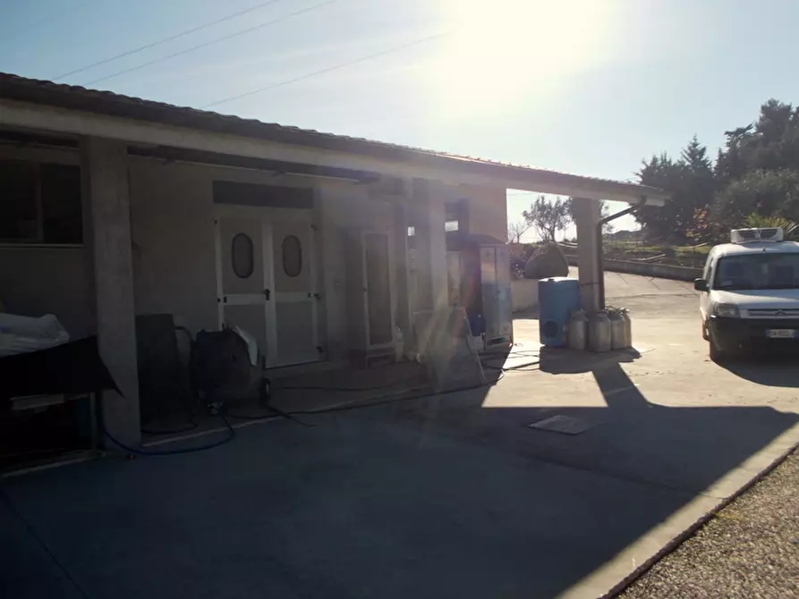 Immagine 11 di Laboratorio in vendita  a Maltignano