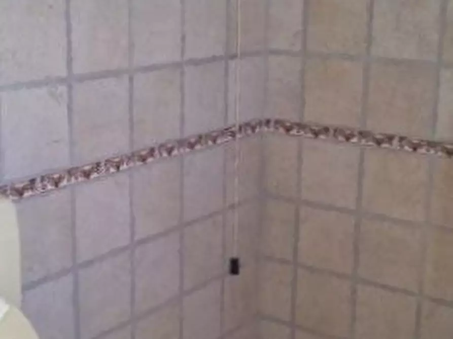 Immagine 17 di Casa indipendente in vendita  a Acquaviva Picena