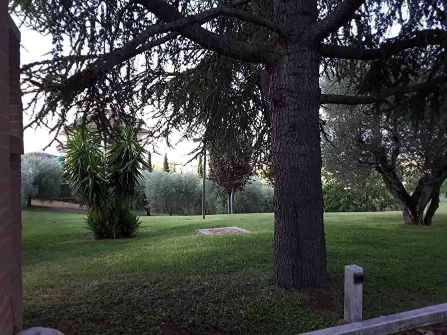 Immagine 7 di Casa indipendente in vendita  a Castorano