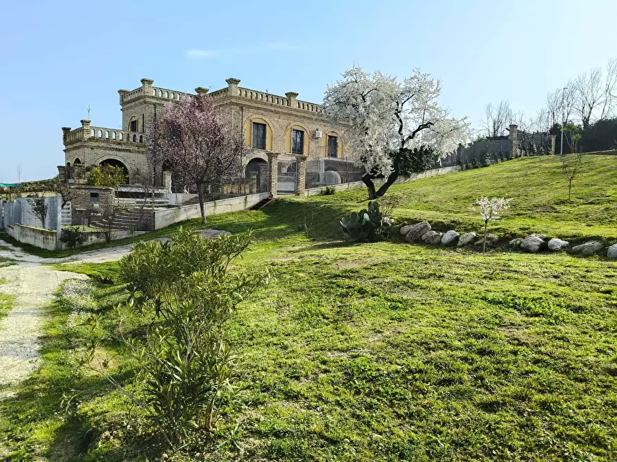 Immagine 49 di Villa in vendita  a Tortoreto