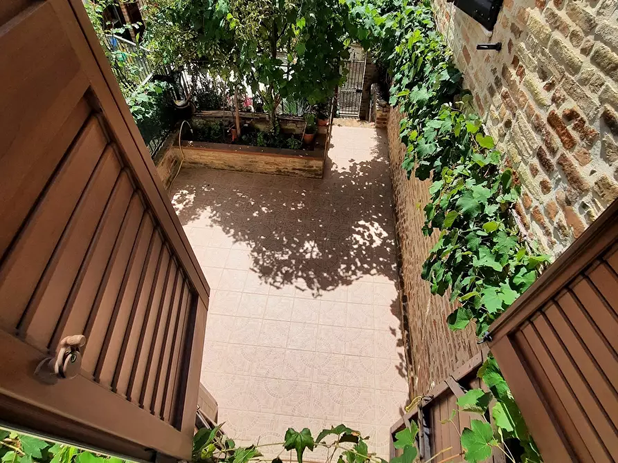 Immagine 10 di Casa indipendente in vendita  a Ripatransone