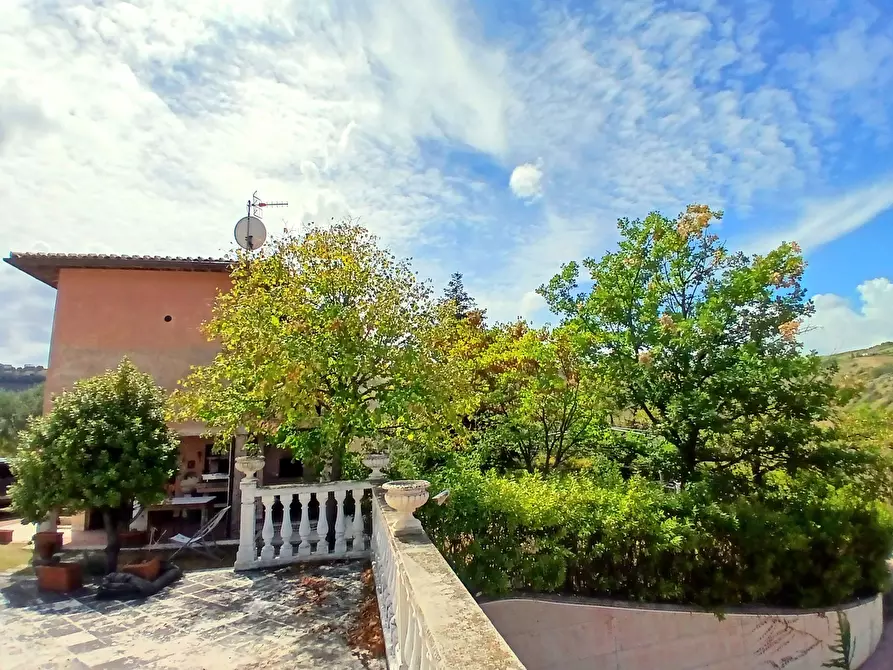 Immagine 44 di Casa indipendente in vendita  a Ancarano