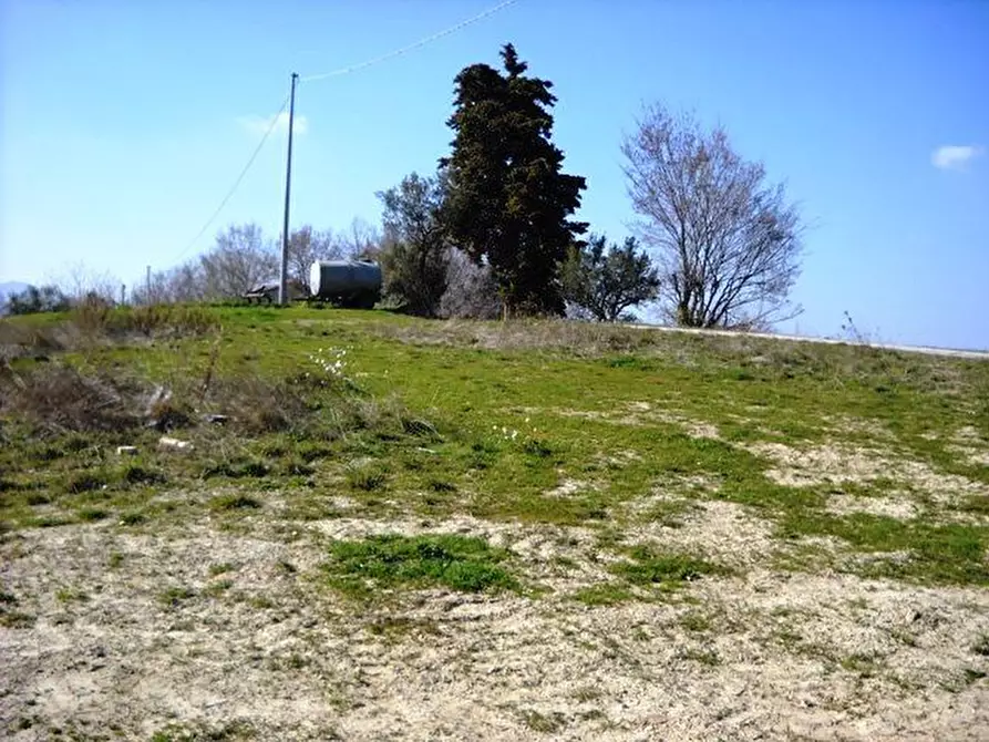 Immagine 3 di Terreno edificabile in vendita  in contrada a Castorano