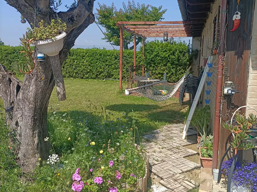 Immagine 36 di Casa indipendente in vendita  a Monteprandone