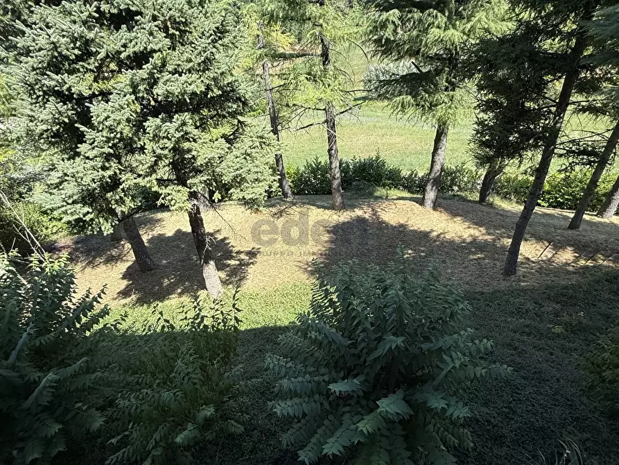 Immagine 37 di Casa bifamiliare in vendita  in Viale Gramsci 711 a Zocca