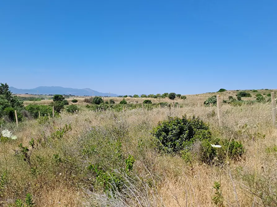 Immagine 18 di Terreno agricolo in vendita  a Settimo San Pietro