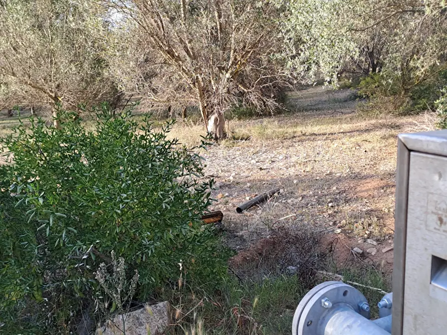 Immagine 9 di Terreno agricolo in vendita  in Via dei Gladioli a Quartucciu