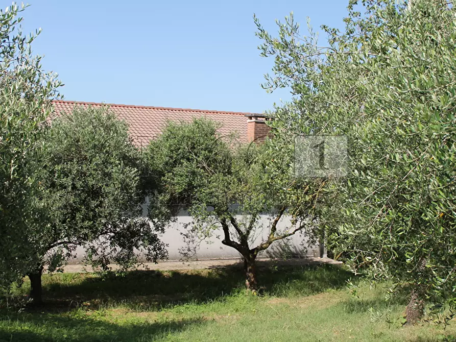 Immagine 12 di Casa indipendente in vendita  a Brendola