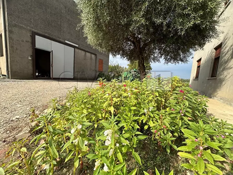 Immagine 27 di Casa indipendente in vendita  in Via Ca' Marchesa 55 a Rovolon