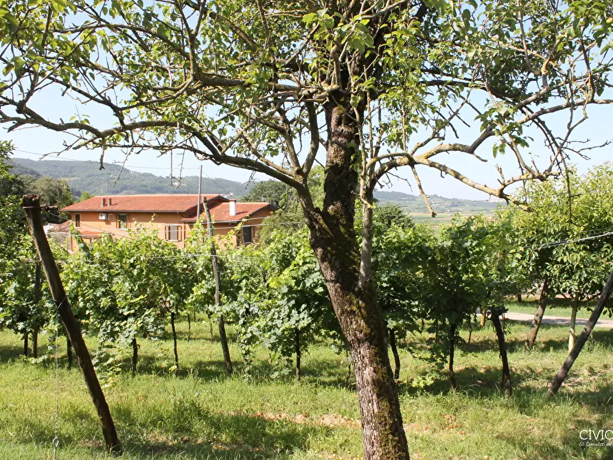 Immagine 10 di Casa indipendente in vendita  a Brendola