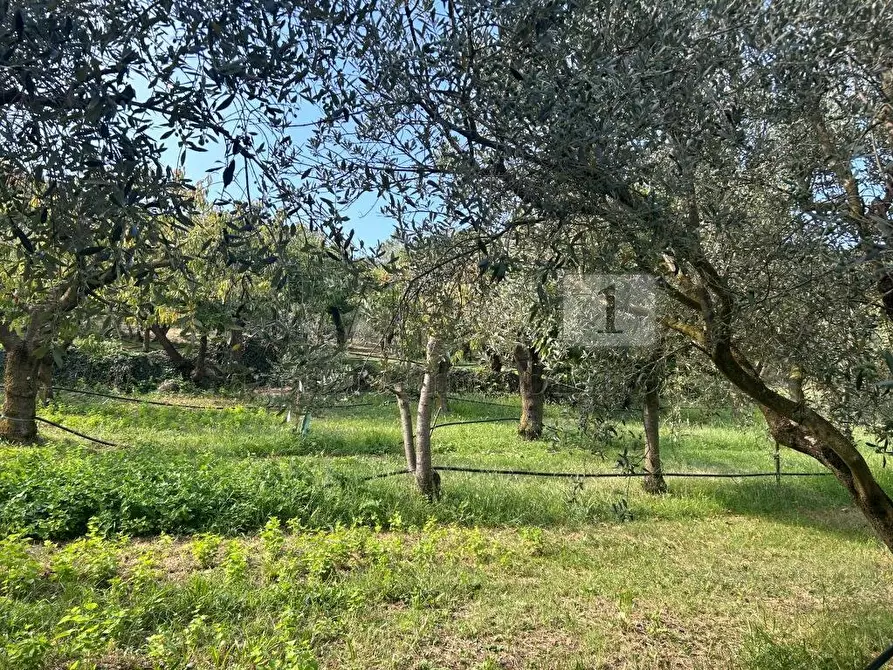 Immagine 8 di Terreno agricolo in vendita  in Via Castellaro a Castegnero