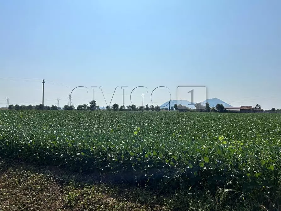 Immagine 20 di Terreno agricolo in vendita  in Via Volpara a Castegnero