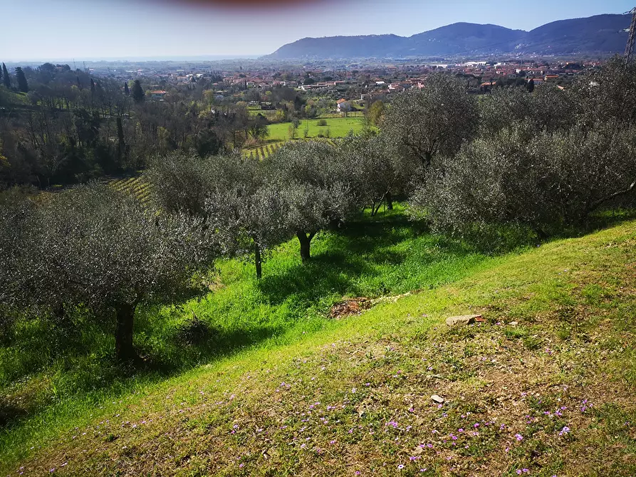 Immagine 17 di Villa in vendita  in Via Montecchio 70 a Castelnuovo Magra
