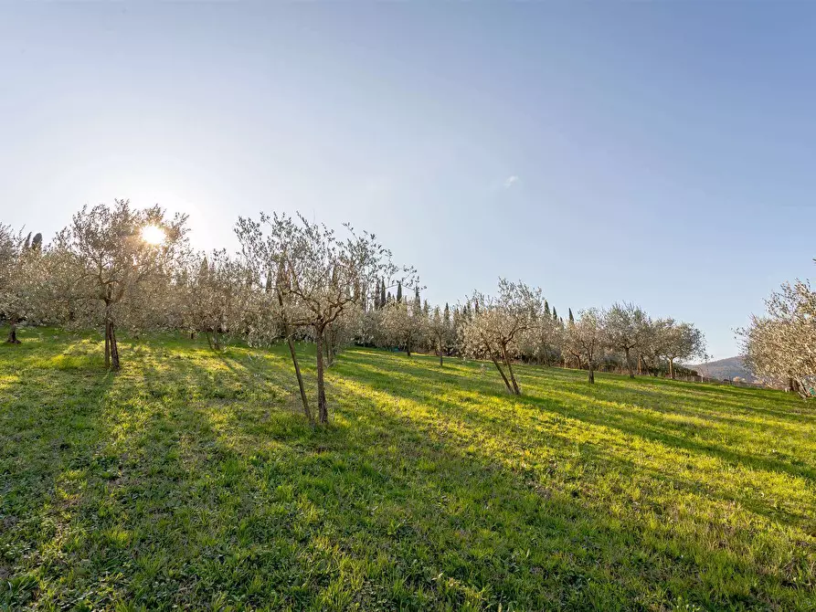 Immagine 1 di Terreno agricolo in vendita  in Via Nicola 2 a Ortonovo