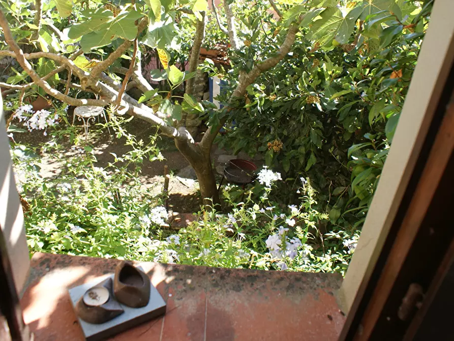 Immagine 14 di Villa in vendita  in Via Annunziata a Ortonovo