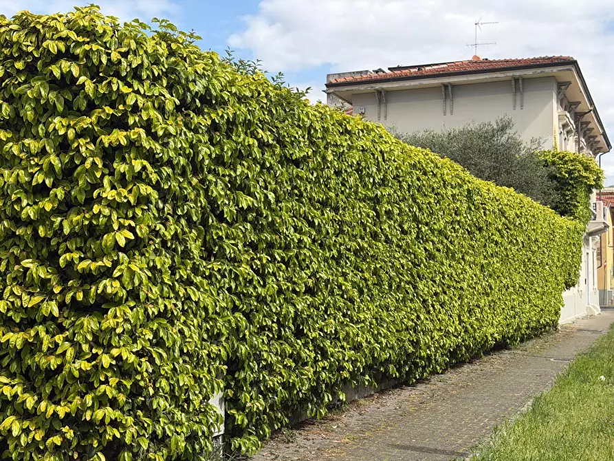 Immagine 6 di Villa in vendita  in Via Firenze 48 a Carrara