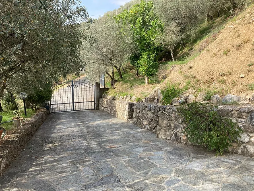 Immagine 10 di Villa in vendita  in Via Provinciale 247 a Castelnuovo Magra