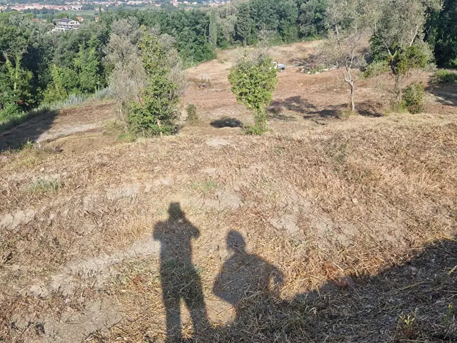 Immagine 9 di Appartamento in vendita  in Via Montefrancio 46 a Castelnuovo Magra