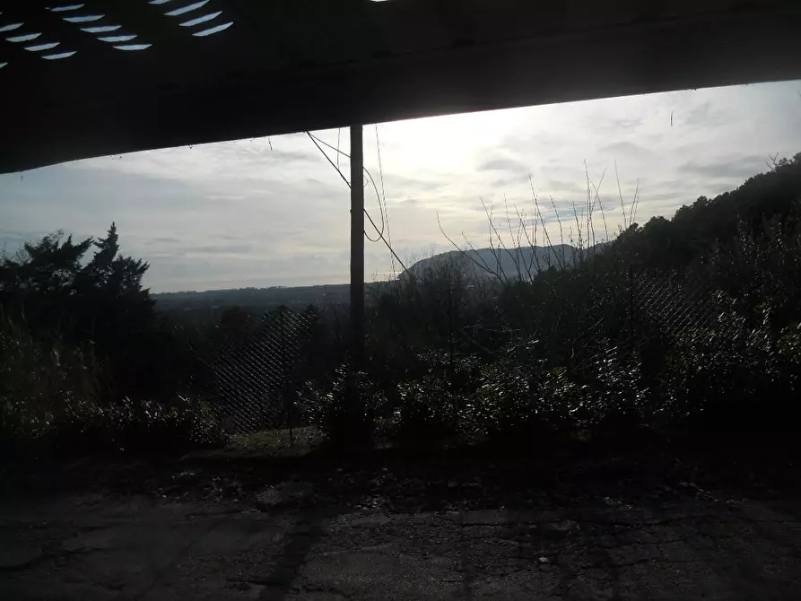 Immagine 44 di Villa in vendita  in Via dei Pini 40 a Castelnuovo Magra