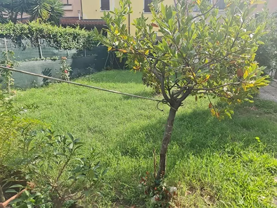 Immagine 23 di Casa semindipendente in vendita  in Viale XX Settembre 173 a Carrara
