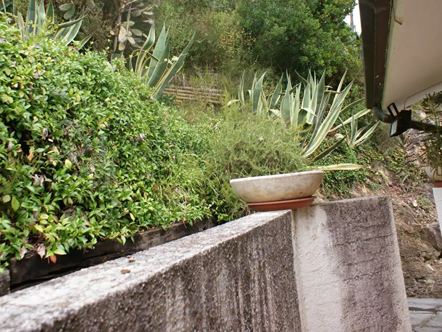 Immagine 3 di Casa semindipendente in vendita  in Via C. A. Fabbricotti 18 a Ameglia
