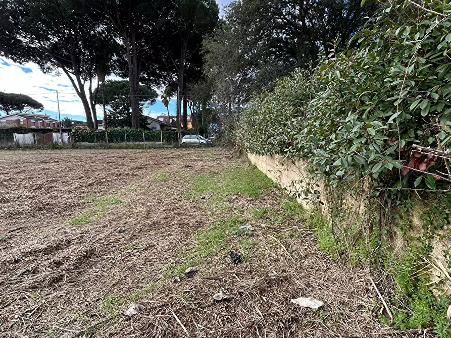 Immagine 8 di Terreno industriale in vendita  in La Siesta 1 a Terracina