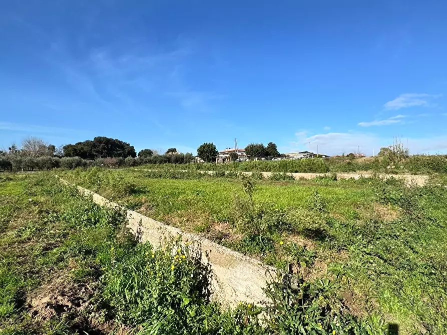 Immagine 11 di Terreno agricolo in vendita  in Via Monte Circeo 21 a San Felice Circeo