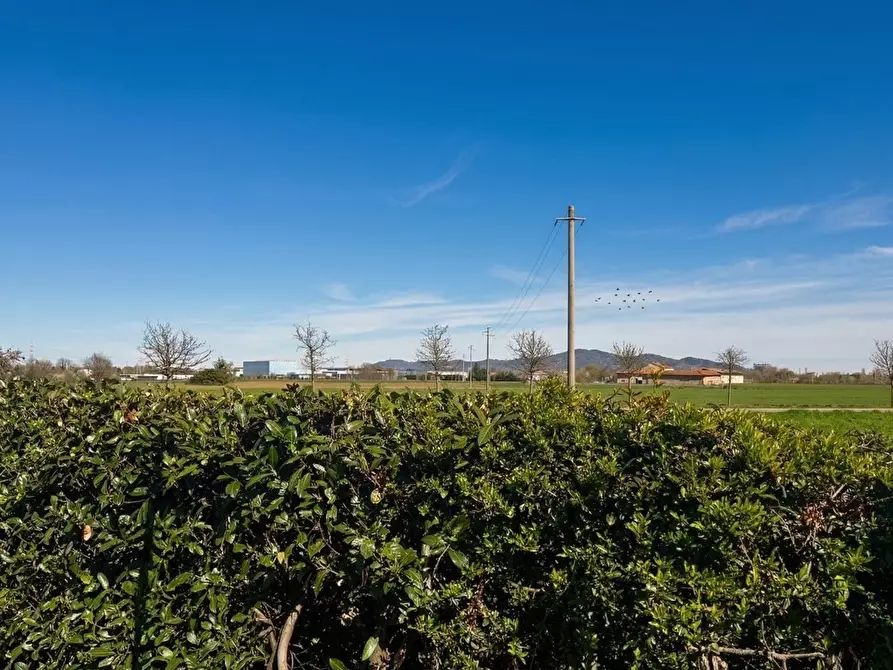 Immagine 5 di Villa in vendita  in Strada Ravetto 52 a Orbassano