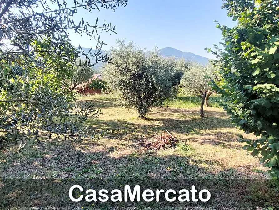 Immagine 18 di Rustico / casale in vendita  in Via del Tuscolo a Grottaferrata