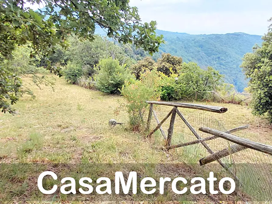 Immagine 4 di Terreno agricolo in vendita  a Rocca Di Papa