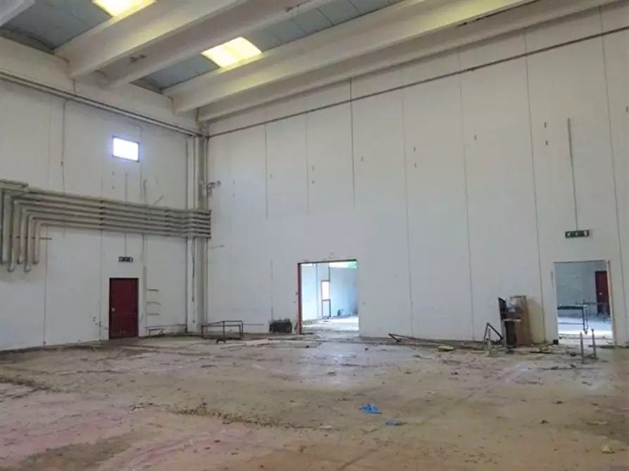 Immagine 13 di Capannone industriale in vendita  a Colonnella