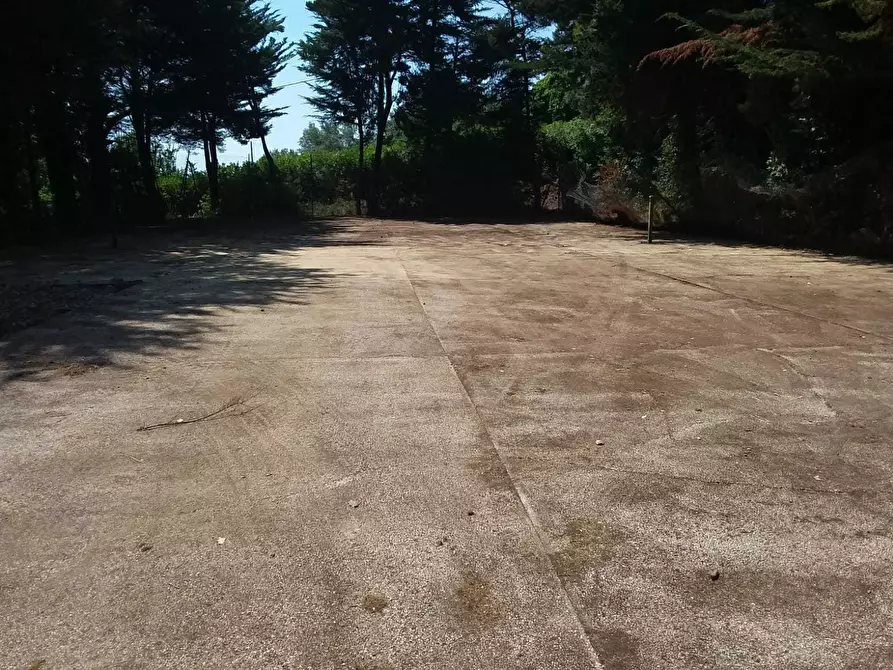 Immagine 17 di Terreno edificabile in vendita  a Tortoreto