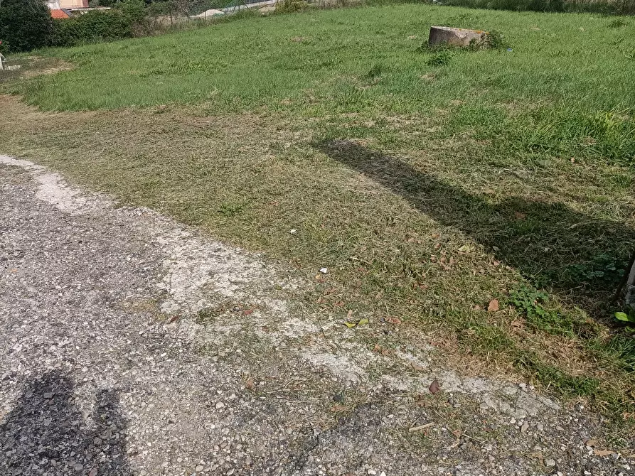 Immagine 2 di Terreno edificabile in vendita  a Acquaviva Picena