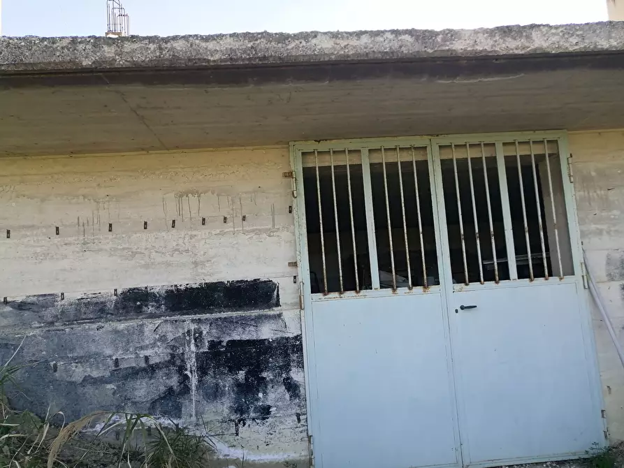 Immagine 5 di Terreno edificabile in vendita  a Falerone