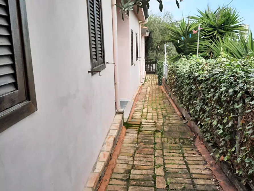 Immagine 25 di Attività commerciale in vendita  a Cupra Marittima