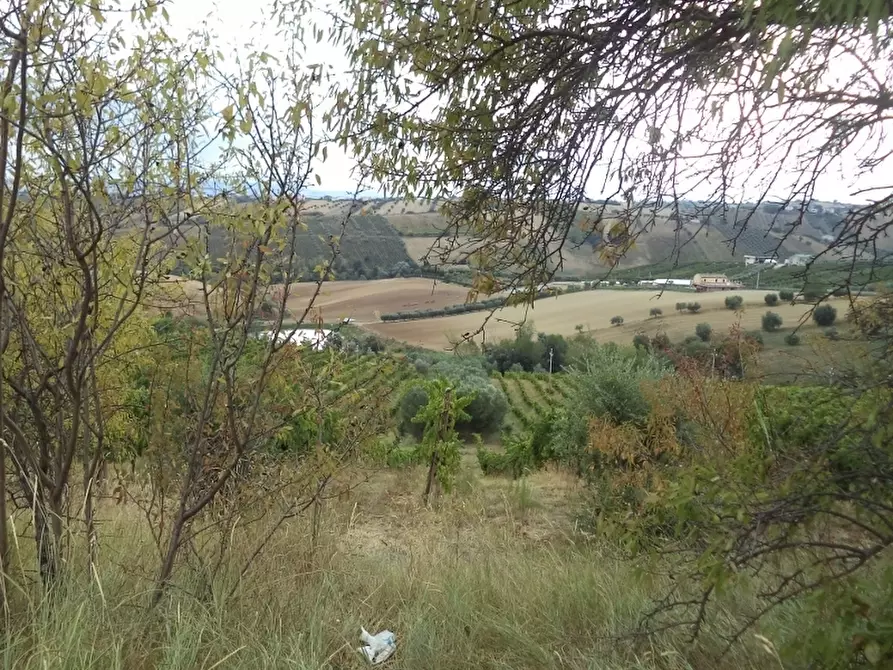 Immagine 23 di Terreno agricolo in vendita  a Colonnella