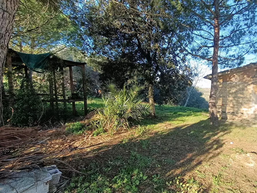 Immagine 30 di Rustico / casale in vendita  a Monsampolo Del Tronto