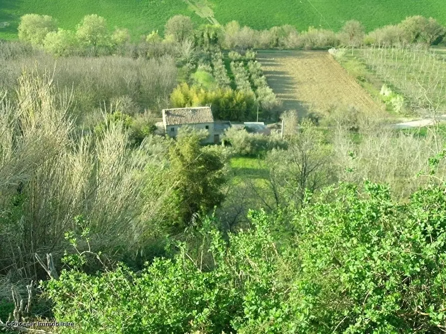 Immagine 1 di Rustico / casale in vendita  in Contrada Montecamauro a Campofilone