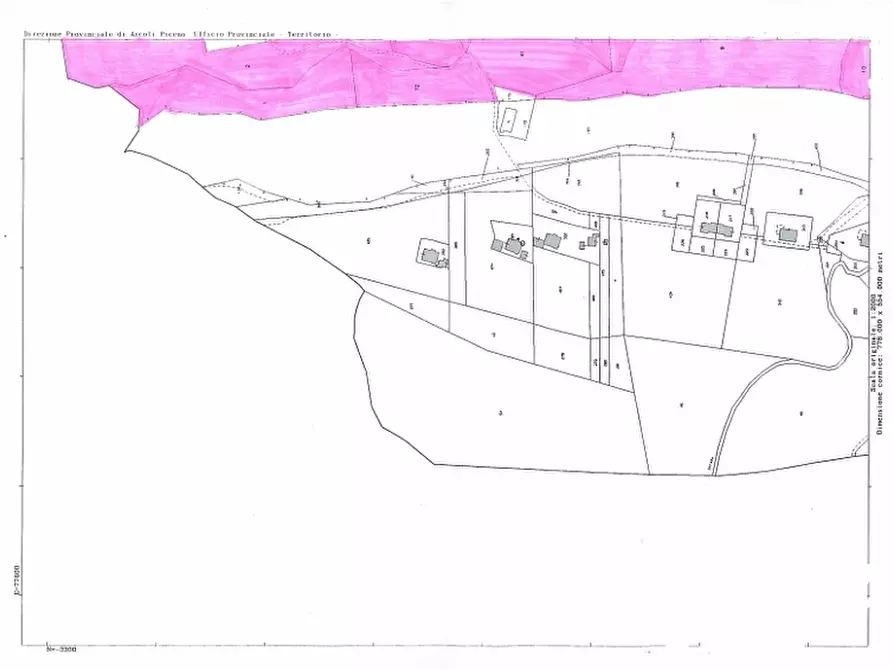 Immagine 4 di Terreno agricolo in vendita  in marina di massignano a Massignano