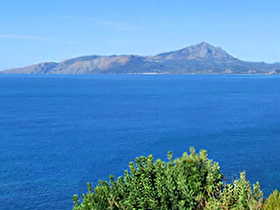 Immagine 2 di Attività commerciale in vendita  a Salerno