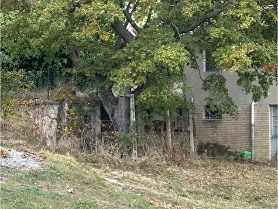 Immagine 11 di Rustico / casale in vendita  a Carassai