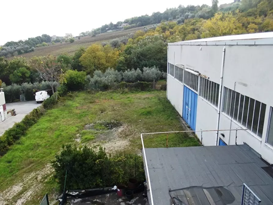 Immagine 38 di Capannone industriale in affitto  a Acquaviva Picena