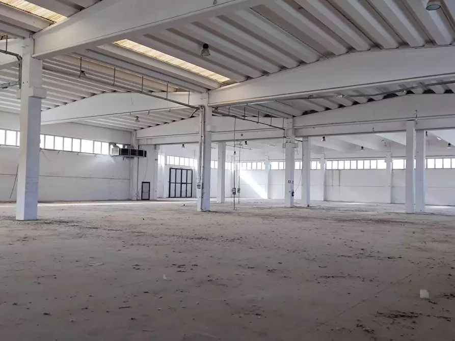 Immagine 5 di Capannone industriale in vendita  in via dell'industria 5-7 a Castelplanio