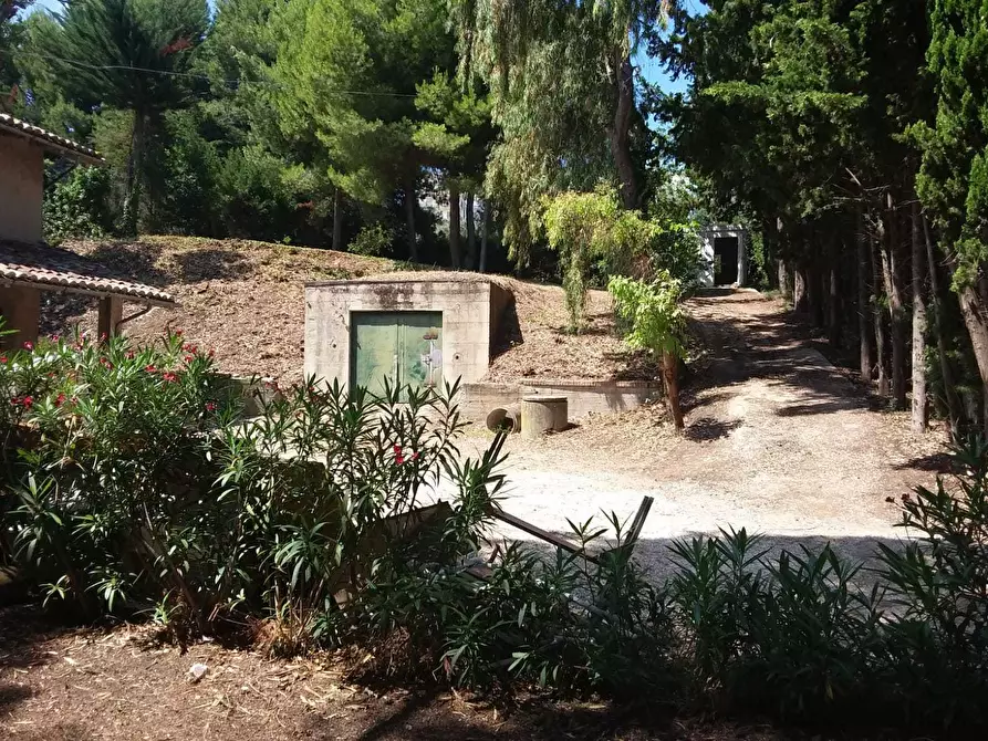 Immagine 20 di Terreno edificabile in vendita  a Tortoreto