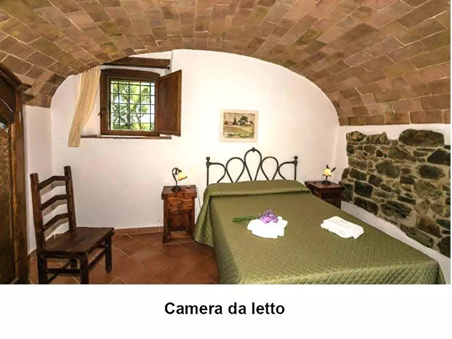 Immagine 24 di Azienda agricola in vendita  a Monterotondo Marittimo