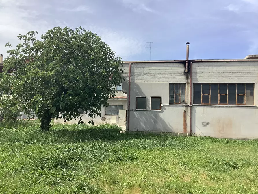 Immagine 6 di Palazzo in vendita  a Monsampolo Del Tronto