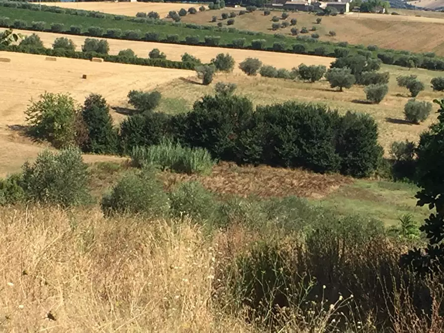 Immagine 14 di Terreno edificabile in vendita  a Colonnella