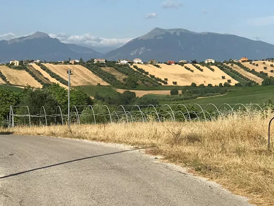 Immagine 16 di Terreno edificabile in vendita  a Colonnella